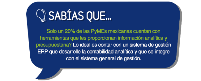 centro de costos en un programa ERP_sabiasque